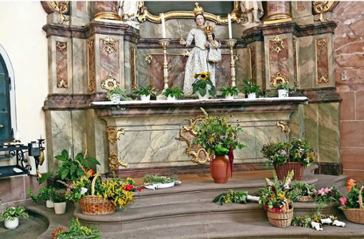 In Ettenheim wurden am Wochenende für Mariä Himmelfahrt Kräuter geweiht. Sie zu finden, wird immer schwieriger. Foto: Birkle