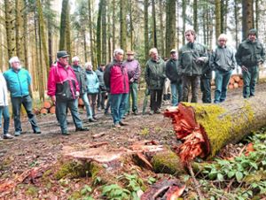 Aufmerksam lauschen die Bürger für Bürger Forstrevierleiter Simon Köninger (Dritter von rechts, vorne).Foto: Wolf Foto: Schwarzwälder Bote