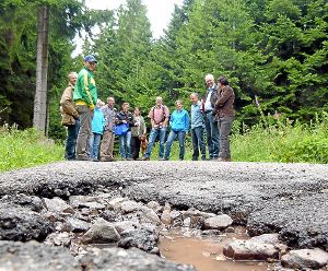 Teils lebensgefährliche Straßenschäden mussten die Teilnehmer bei der Waldbegehung in Oberwolfach zur Kenntnis nehmen.  Foto: Haas