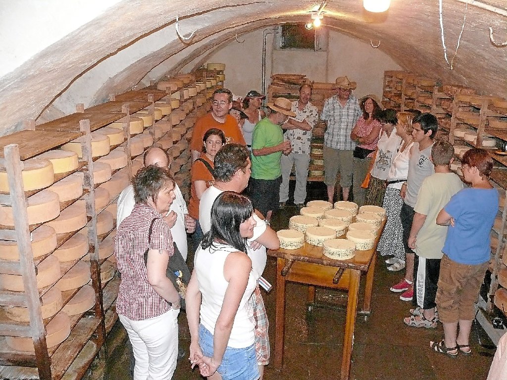 In der Reifekammer erfahren die Gäste einiges über die Käseherstellung. Fotos: Hübner Foto: Schwarzwälder-Bote