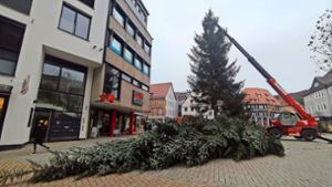 Schnödes Schicksal eines unperfekten  Baumes: Nagold    hat am Montag den Weihnachtsbaum gewechselt. Foto: Heiko Hofmann