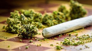 Ab 1. April soll der Konsum und Besitz von Cannabis mit zahlreichen Vorgaben für Erwachsene erlaubt sein. Foto: © wollertz – stock.adobe.com