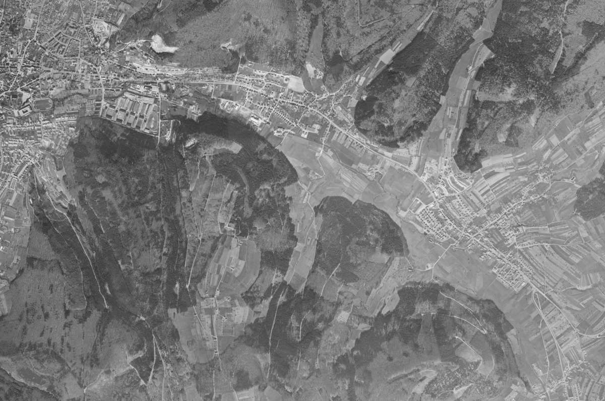 Im Jahr 1968 machten Nadelbäume 45 Prozent der Flächen aus... Foto: Landesarchiv/StAL/EL68IX-17295