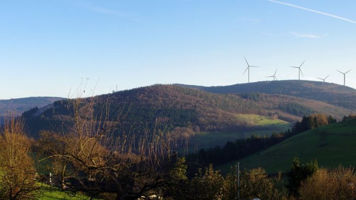 Eberbach sagt Ja zu Windpark
