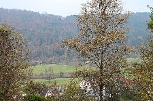 Deutlich ist die Gülle auf den Wiesen im Neckartal zu sehen. An gewissen Stellen ist das auch erlaubt, erklärt das Landwirtschaftsamt in Horb.  Foto: Straub