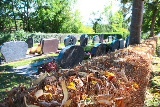 Friedhofsidylle in Stetten: Der Ortschaftsrat will eine Neugestaltung und eine Entfernung der vom Buchsbaumzünsler geschädigten Hecken. Foto: Kost Foto: Schwarzwälder Bote
