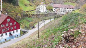 Fleißige Helfer werten die Landschaft rund ums Kloster Wittichen auf