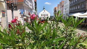 Fußgängerzone in Hechingen soll Experiment sein