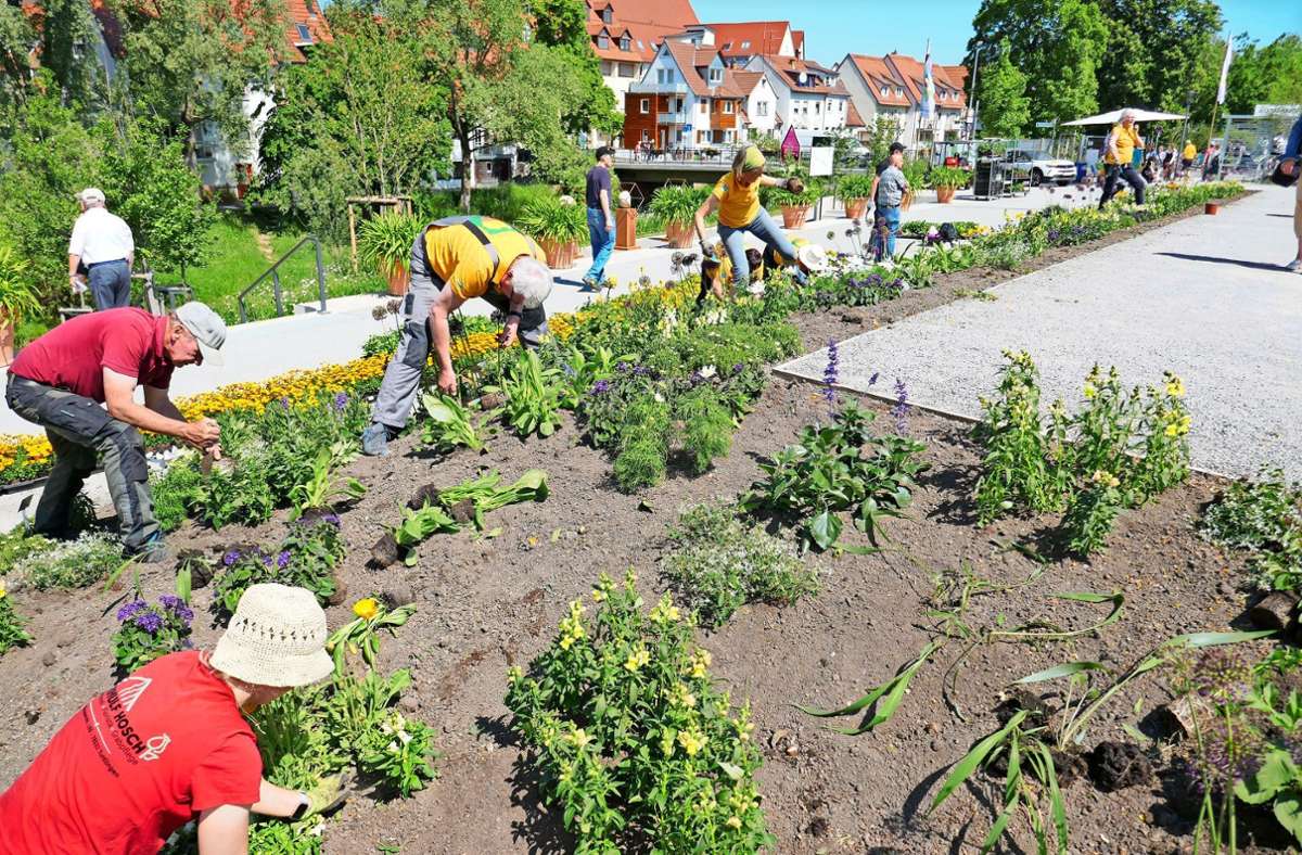 Schutz vor Vandalismus: So soll das Gelände der Gartenschau künftig vor Vandalismus geschützt werden