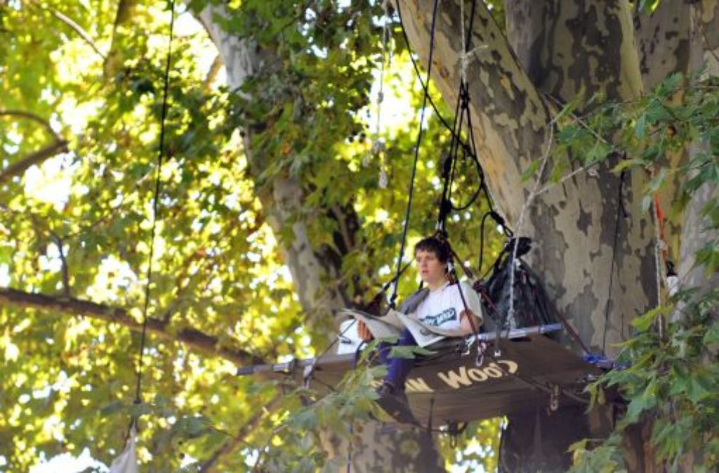 Ein Aktivist der Umweltschutzorganisation Robin Wood besetzt einen Baum im Schlossgarten Foto: dpa