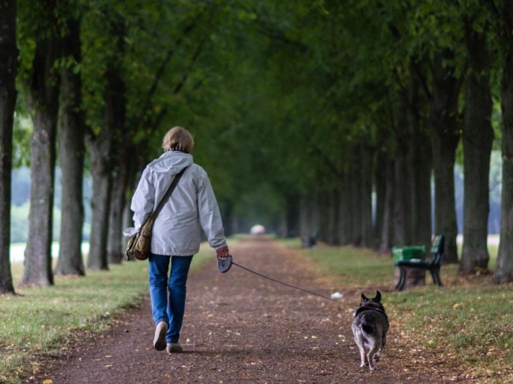 Hans-Jürgen Schneider empfiehlt Hundebesitzern, in der jetzigen Jahreszeit ihre Tiere anzuleinen und besonders gut aufzupassen. (Symbolfoto) Foto: dpa