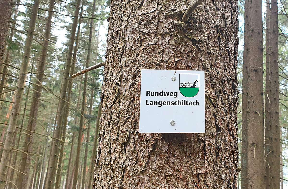 Wo die Schiltach entspringt: Rundwanderweg bietet Wald, Wiesen und herrliche Ausblicke