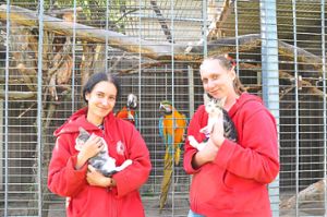 Katrin Exner (links) und Vivien Dietz von der Tierhilfs- und Rettungsorganisation kümmern sich um Katzen und Papageien.   Foto: Forth