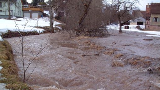 Auch Hochwasserrisiken sind bei der  Bachschau ein Thema. Unser Archivbild entstand am Hinterbach und zeigt, dass diese Thematik nicht zu unterschätzen ist. Foto: Albert Bantle
