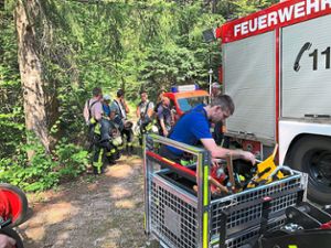 Die Feuerwehrabteilungen von Triberg und Gremmelsbach sind im Einsatz wegen eines Flächenbrands. Die Brandstelle befindet sich in der Nähe des Dreibahnenblicks am Schwarzwaldbahn-Erlebnispfad. Foto: Weisser Foto: Schwarzwälder Bote