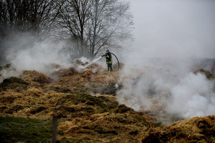 Brand in Mönchweiler: So ist die Lage am nächsten Tag