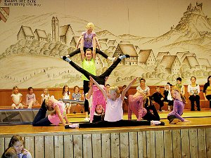 Die Turnergruppe hatte sich Zirkus zum Thema ihrer Vorführung erkoren. Foto: Maier Foto: Schwarzwälder-Bote