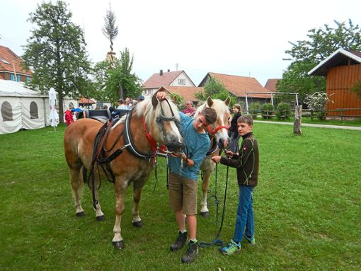 Jan Eitel und sein jüngerer Bruder Finn legten den Pferden für die Rückfahrt nach Höfen das Saumzeug an. Foto: Weißenmayer Foto: Schwarzwälder Bote