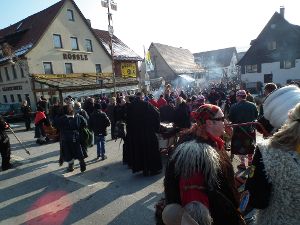 In Ostelsheim wurde am Wochenende der 25. Geburtstag der Narrenfreunde Heckenbeerlesgäu gefeiert. Foto: Steffi Stocker