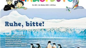 Leben im ewigen Eis – die Tiere im Weddellmeer