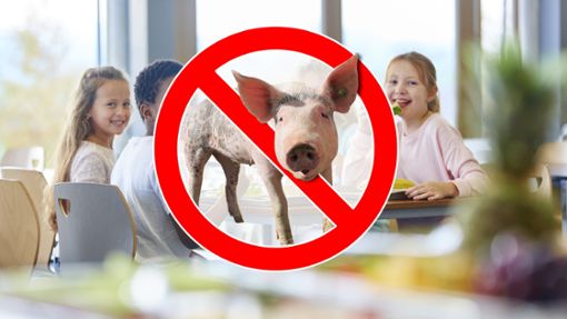 Schweinefleisch bekommen die Schüler in Villingen-Schwenningen in der Schulmensa gar  nicht mehr – und das geschieht aus gutem Grund. Foto: © Robert Kneschke – stock.adobe.com/Pixabay – Mutinka/SWB – Druve