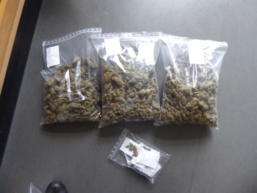 Die Beamten konnten 1,5 Kilogramm Marihuana-Blüten sicherstellen. Foto: Polizei
