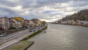 Mann flüchtet vor Alkoholkontrolle mit Kopfsprung in den Neckar
