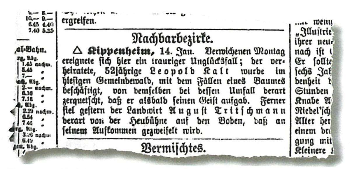 Die traurige Nachricht am 16. Januar 1886 in der Lahrer Zeitung über den Waldarbeiter-Unfall zwischen Kippenheim und Sulz.Repro: LZ