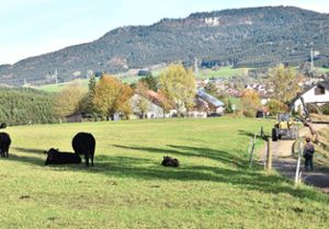 Ein idyllisches Fleckchen: das Areal des Bebauungsplans Auf dem Altberg – 2. Erweiterung.  Foto: kw Foto: Schwarzwälder Bote