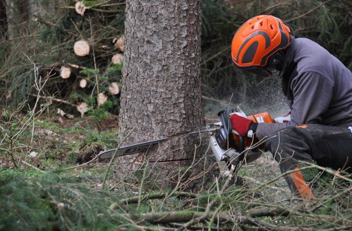 Forstarbeiten in Schonach: L 109   drei Wochen wegen Baumfällaktion gesperrt.
