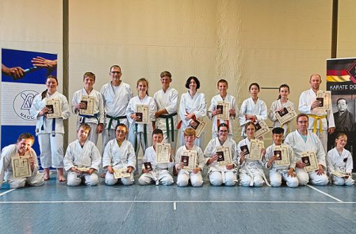 Beim VfL Nagold, Karate, standen Gürtelprüfungen an. Foto: Schlenker