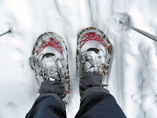 Eine eingestürzte Schneewanderin am Feldberg ist an ihren schweren Verletzungen gestorben. (Symbolfoto) Foto: Pixabay