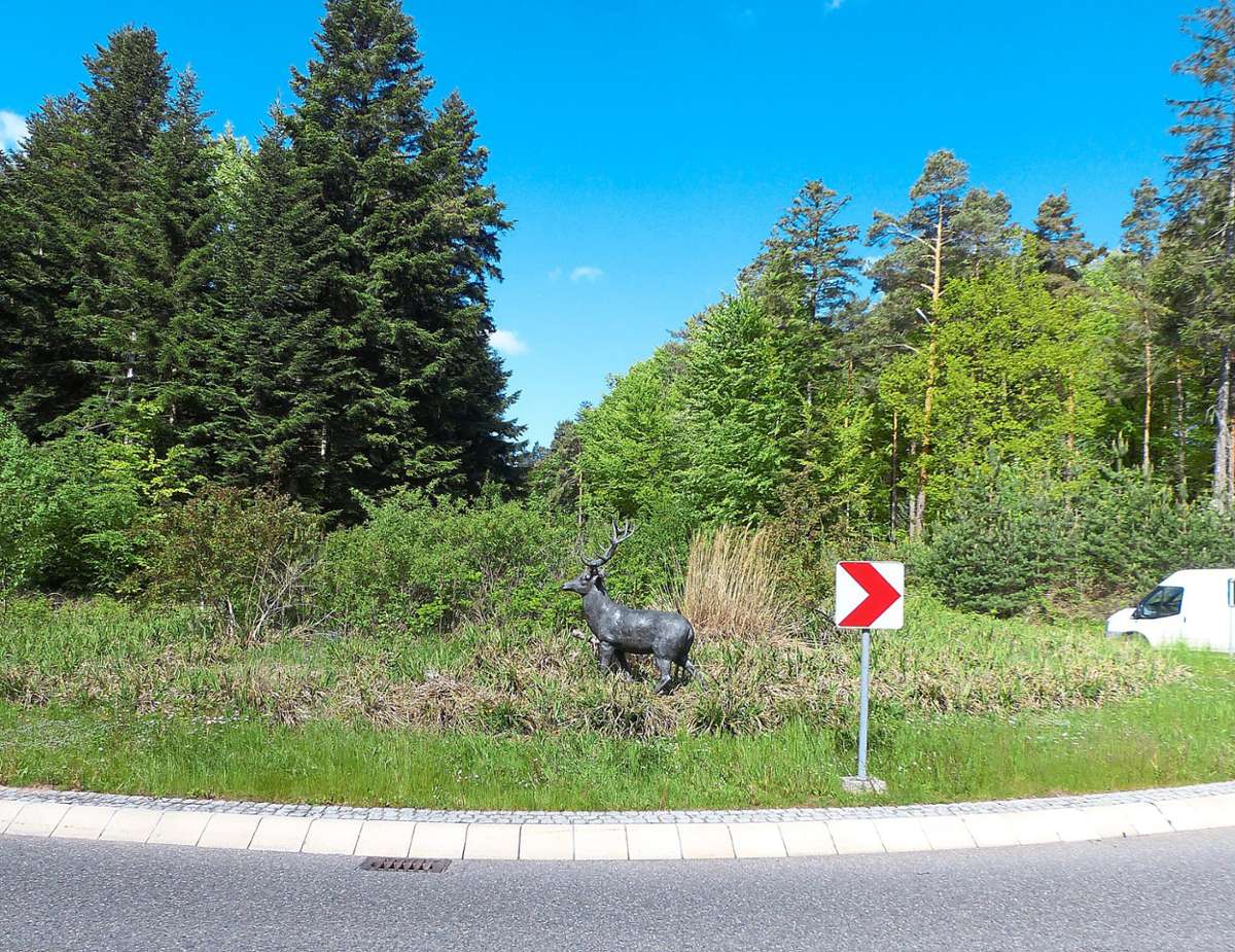 Der Würzbacher Hirsch steht wieder im Kreisverkehr. Von dort wurde er eigentlich einst aus Sicherheitsgründen verbannt.  Foto: Stöß