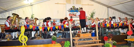 Der Musikverein  Frohsinn  Tennenbronn begeisterte mit seinem unvergleichlichen  Sound beim Fest der Harmonie Sulzbach. Foto: Borho Foto: Schwarzwälder Bote