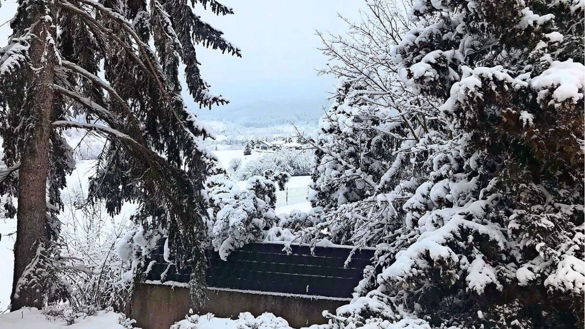 Winter-Wetter im Zollernalbkreis: Vorsicht im Wald – Schnee-Last birgt Gefahr