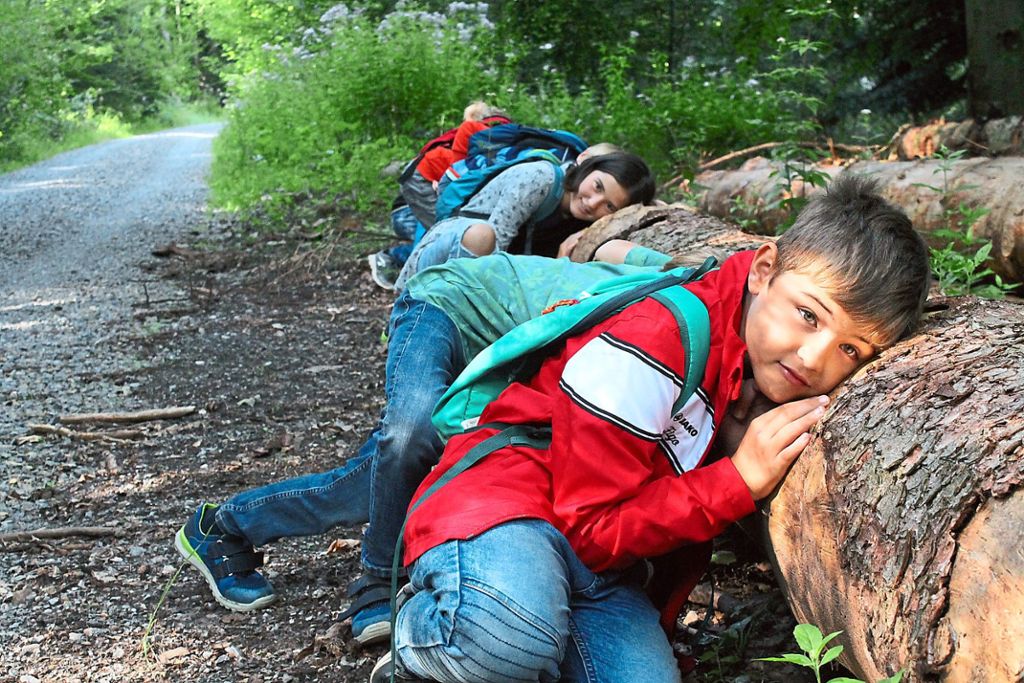 Hören ganz genau hin: Leon Müller (vorn) und die anderen Kinder lernen im Wald, wie sich der Schall des kratzenden Marders durch einen langen Baumstamm hören lässt. Fotos: Hegel