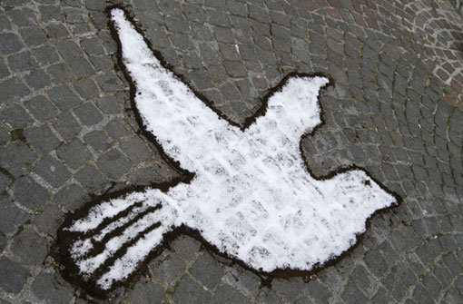 Die Taube als Symbol des Friedens - zum Auftakt des Staffellaufes sollen 100 der Tiere in den Himmel fliegen. (Symbolbild) Foto: shutterstock