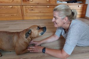 Ihre Staffordshire-Bullterrier-Dame Mia gehorcht Petra Awiszus aufs Wort. Foto: Günther