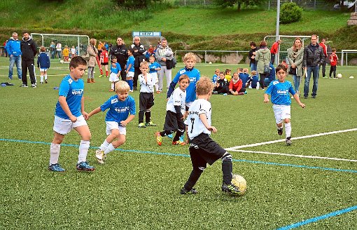 Fußballspielen macht Spaß, beweisen schon die Bambinis auf dem Schonacher Sportplatz. Archivfoto: Bolkart Foto: Schwarzwälder-Bote