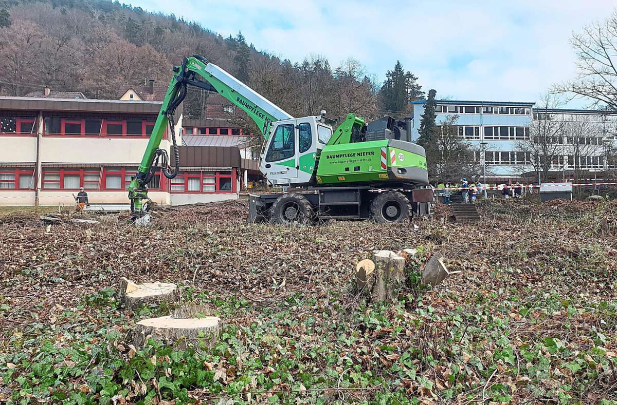 Die Rodung ist erledigt, einzig die Wurzelstöcke kommen noch weg: Start für den Don-Bosco-Rohbau ist auf Anfang März angepeilt.