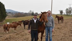 Zwei Bergfelder beherbergen Pferde von Bayern-Stars und Formel 1-Weltmeister