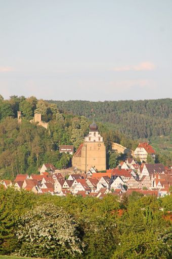 Die Große Kreisstadt Herrenberg (auf dem Foto ist die Stiftskirche zu sehen) ist seit zwei Jahren Modellkommune, Hechingen will es auch werden.Foto: Pixabay/Joachim Klug Foto: Schwarzwälder Bote
