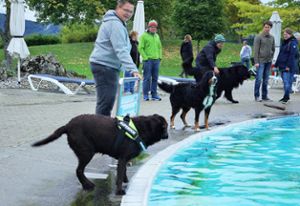 Trotz der kühlen Temperaturen hatten die Hunde im Wasser und Frauchen oder Herrchen am Beckenrand immer großen Spaß. Foto: Gauggel