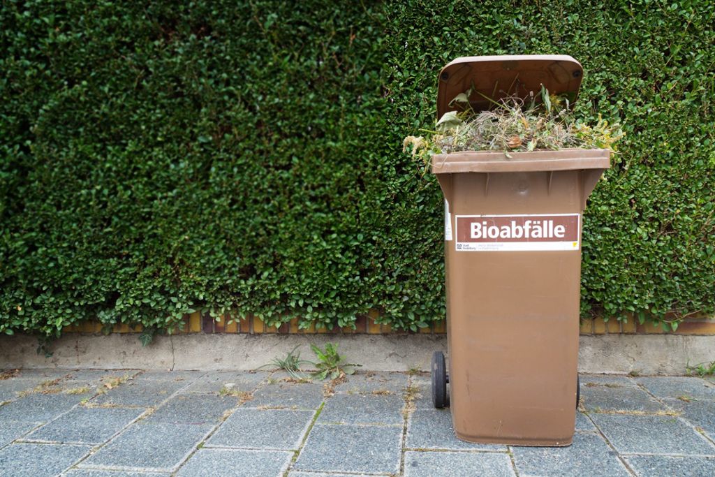 Nicht geleerte Mülltonnen: Im Kreis Rottweil ein häufiges Bild. (Symbolfoto) Foto:  eyetronic – stock.adobe.com