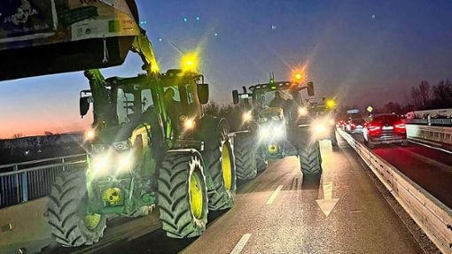 Mit ihren Traktoren bremsten Landwirte aus Friesenheim und dem Ried auch bei Lahr den Verkehr aus. Foto: Bohnert-Seidel