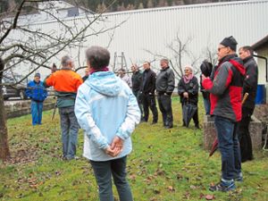 Beim Winterschnittkurs gab Rudi Schlienz viele Tipps für den Obstbaumschnitt. Foto: OGV Foto: Schwarzwälder Bote