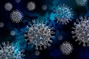 Das Coronavirus. Die Zahl der neuen Fälle nimmt aktuell ab. (Symbolfoto) Foto: pixabay