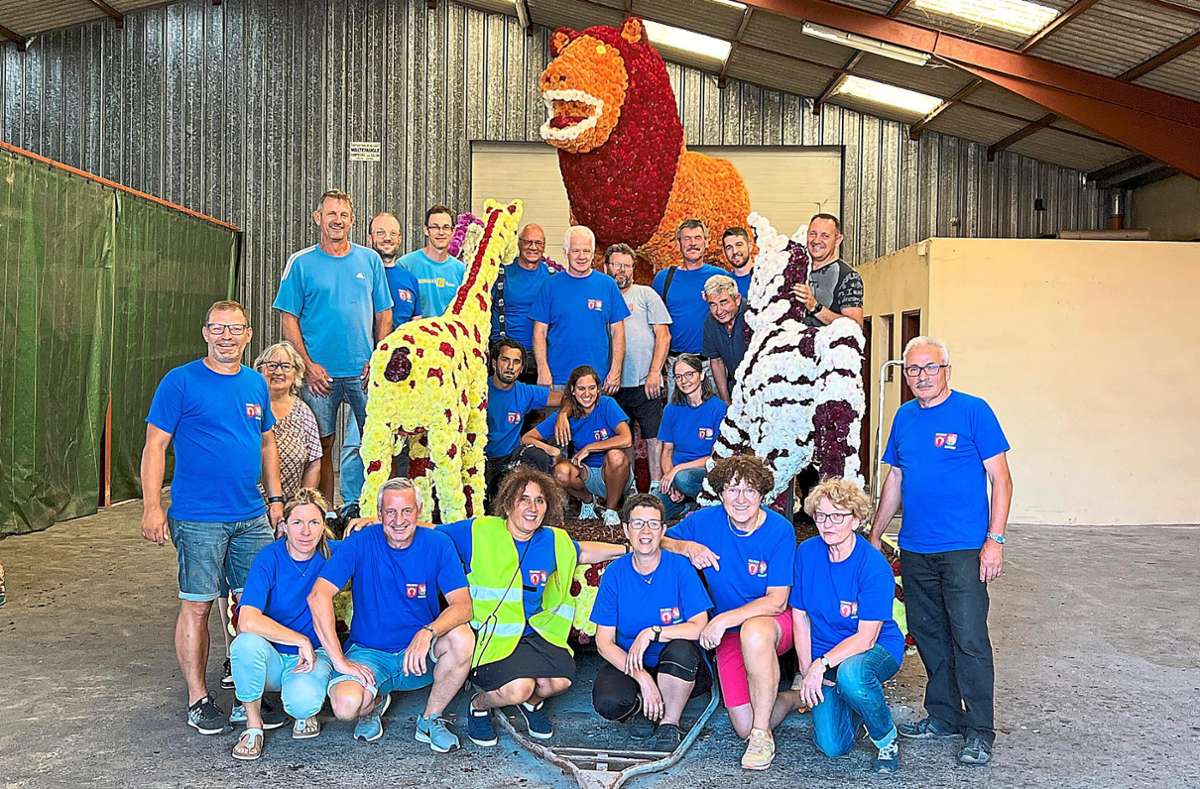 König der Löwen: Oberweierer gestalten Wagen für Mirabellenfest in Dorlisheim
