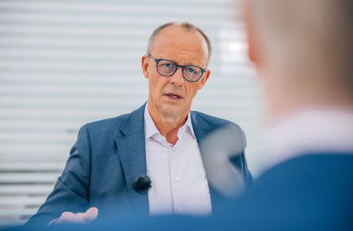 Friedrich Merz stellt sich den Fragen im ZDF-Sommerinterview – und erregt Aufsehen mit dem, was er zur AfD sagt. Foto: dpa/ZDF/Dominik Asbach