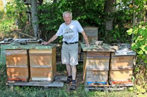 Jeden Tag verbringt der 83-jährige Emil Tritschler Zeit bei seinen Bienen. „Beobachten und abwarten“, lautet seine Devise zum Ausbruch der Amerikanischen Faulbrut in der Nachbarschaft. Foto: Lutz Rademacher